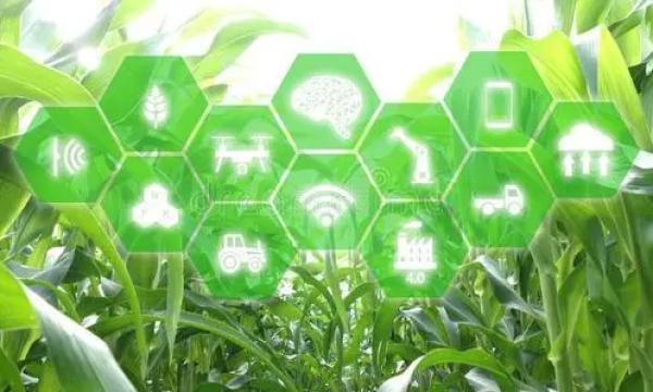 互联网+“绿色农业”，推动农产品发展新模式